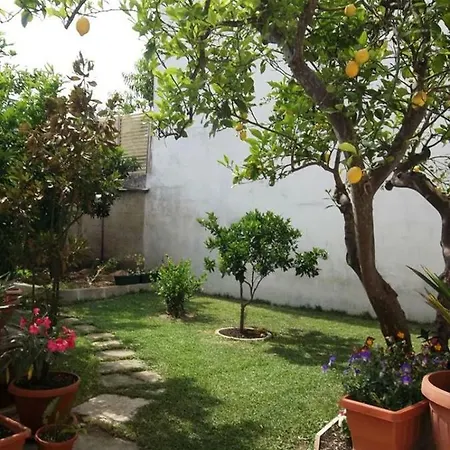 Apartament Antea